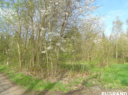 Prodej pozemku, ostatní, 740 m²