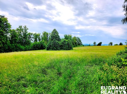 Prodej pozemku, trvalý travní porost, 7 471 m²