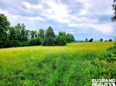 Prodej pozemku, trvalý travní porost, 7 471 m²