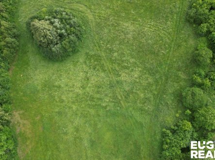 Prodej pozemku, trvalý travní porost, 7 471 m²