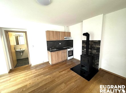 Pronájem bytu, 1+kk, 35 m²