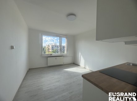 Pronájem bytu, 1+kk, 22 m²