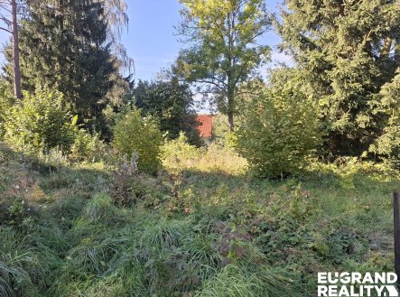 Prodej pozemku pro bydlení, 1 656 m²