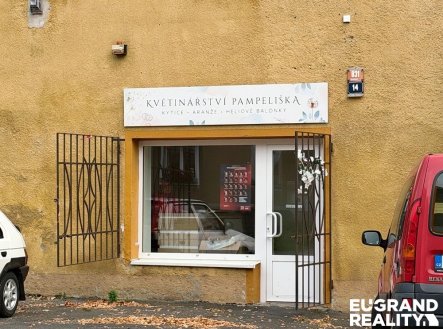 Pronájem obchodní prostory, 55 m²