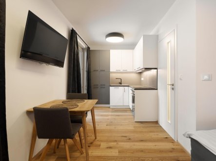 Prodej bytu, 1+kk, 24 m²