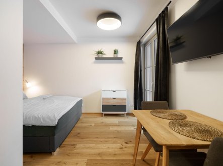 Prodej bytu, 1+kk, 24 m²