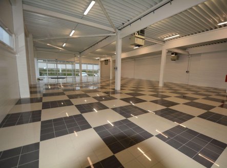 Pronájem obchodní prostory, 698 m²