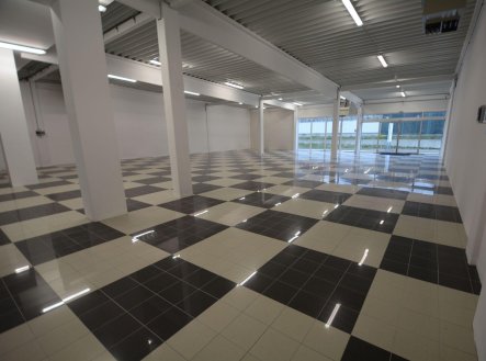 Pronájem obchodní prostory, 698 m²