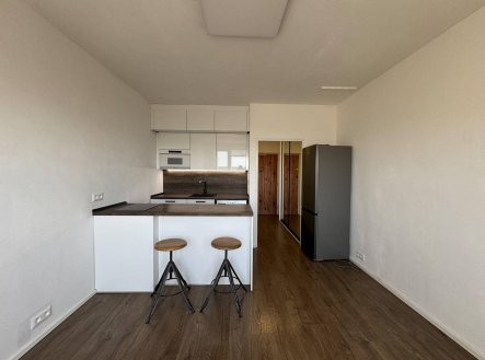 Pronájem bytu, 1+kk, 24 m²
