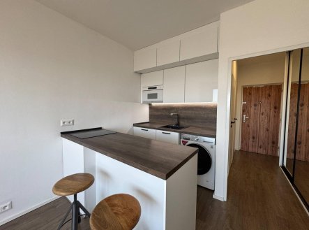 Pronájem bytu, 1+kk, 24 m²