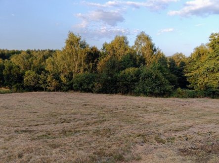 Prodej pozemku, zahrada, 2 000 m²