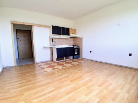 Prodej bytu, 2+kk, 43 m²