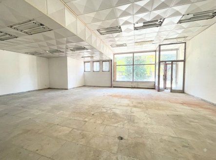 Prodej obchodní prostory, 230 m²