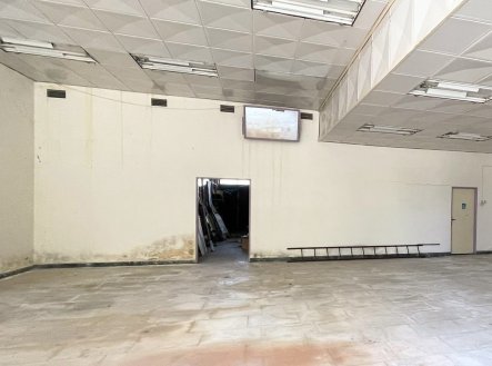 Prodej obchodní prostory, 230 m²