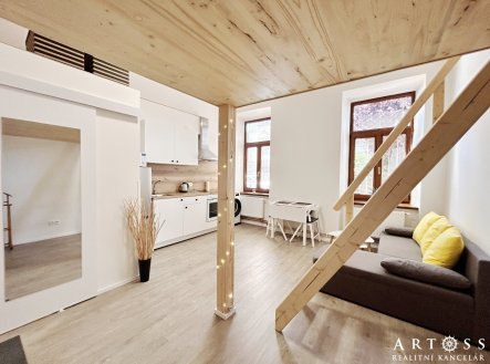 Pronájem bytu, 1+kk, 23 m²