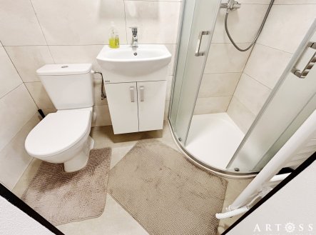 Pronájem bytu, 1+kk, 23 m²