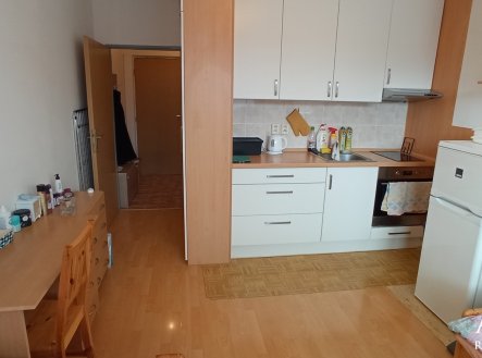 Pronájem bytu, 1+kk, 25 m²