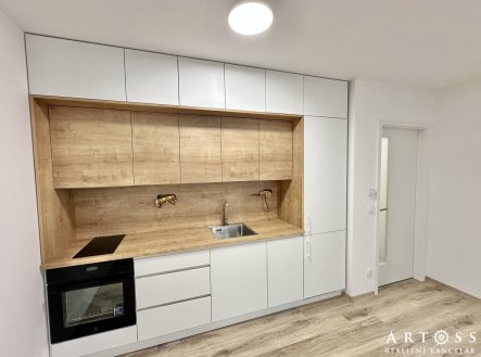 Pronájem bytu, 1+kk, 29 m²