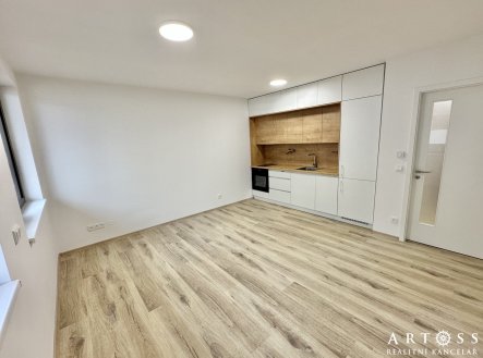Pronájem bytu, 1+kk, 29 m²