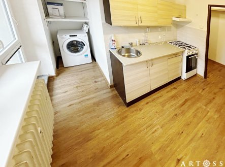 Pronájem bytu, 1+1, 49 m²