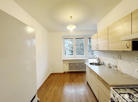 Pronájem bytu, 1+1, 49 m²