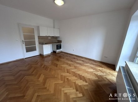 Pronájem bytu, 1+kk, 22 m²