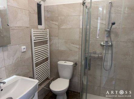 Pronájem bytu, 1+kk, 22 m²