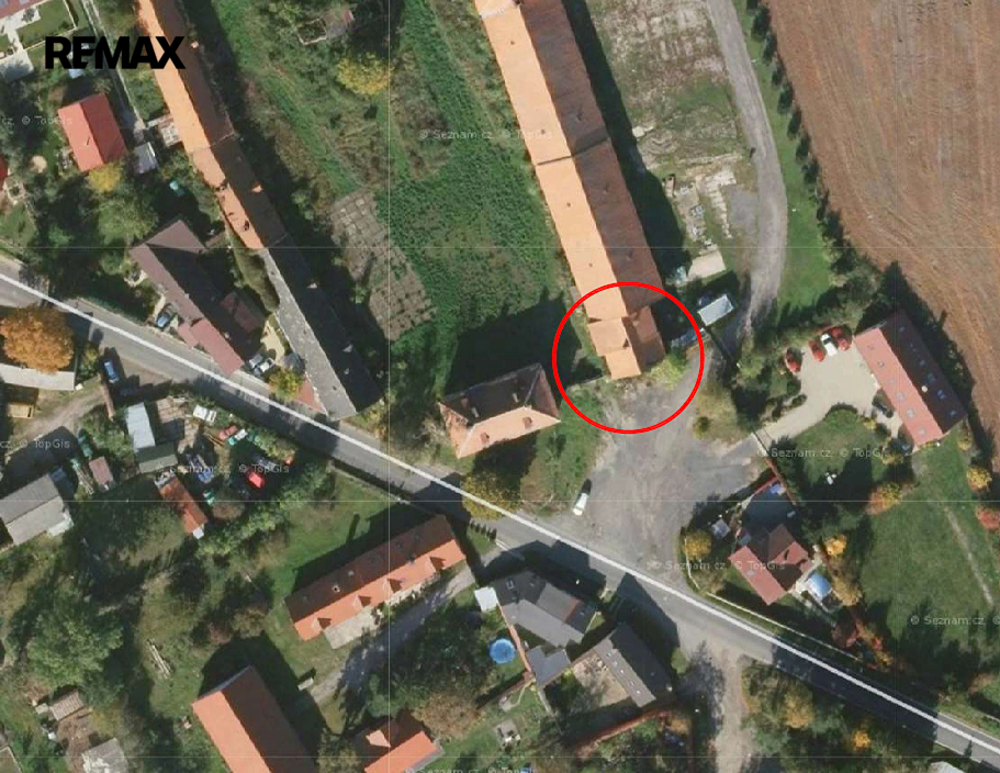foto-shora.png