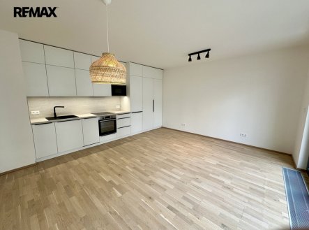Pronájem bytu, 1+kk, 39 m²