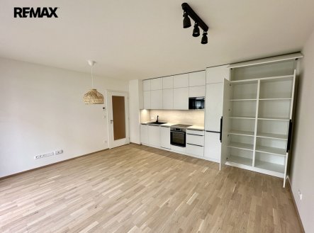 Pronájem bytu, 1+kk, 39 m²
