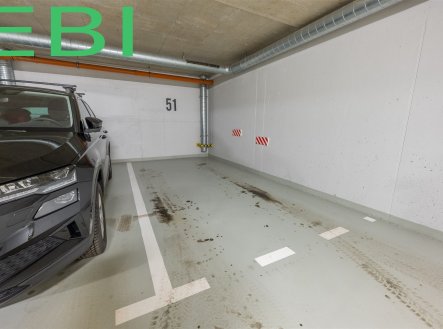 Pronájem