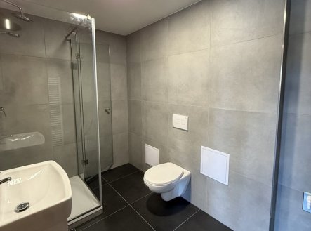 Pronájem bytu, 2+kk, 55 m²