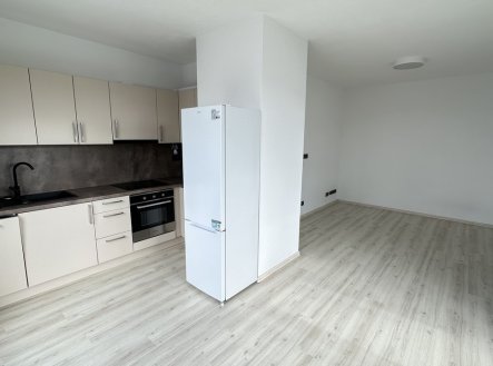 Pronájem bytu, 1+kk, 41 m²