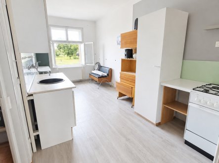 Pronájem bytu, 1+1, 52 m²