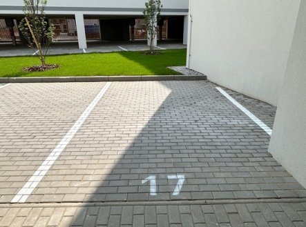 Pronájem