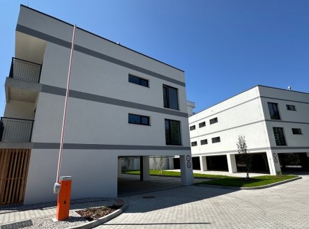 Pronájem