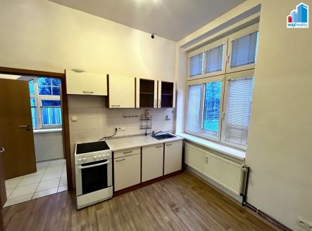 Pronájem bytu, 1+1, 45 m²