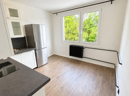 Pronájem bytu, 3+1, 64 m²