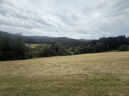 Prodej - pozemek, trvalý travní porost, 84 928 m²