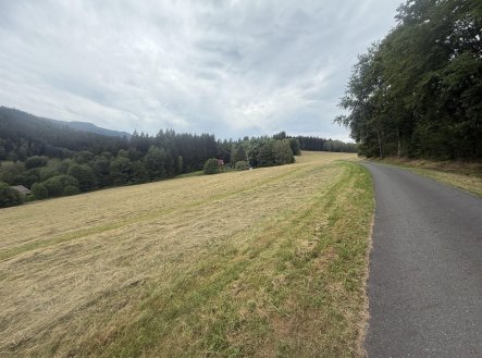 Prodej - pozemek, trvalý travní porost, 84 928 m²