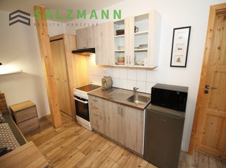 Pronájem bytu, 1+kk, 20 m²