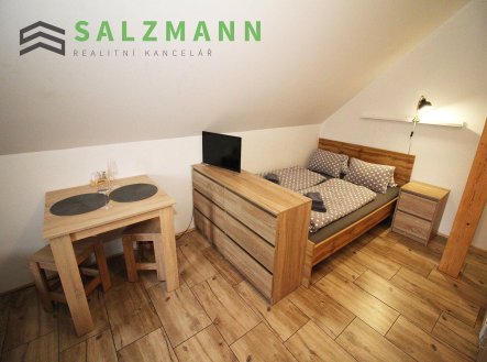 Pronájem bytu, 1+kk, 20 m²