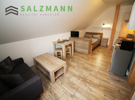 Pronájem bytu, 1+kk, 20 m²