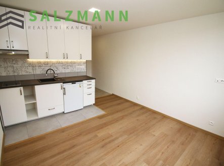 Pronájem bytu, 1+kk, 20 m²