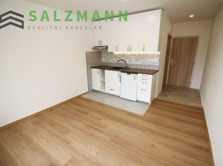 Pronájem bytu, 1+kk, 20 m²