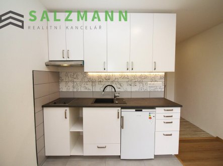 Pronájem bytu, 1+kk, 20 m²