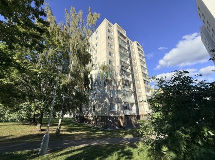 Pronájem bytu, 1+1, 47 m²