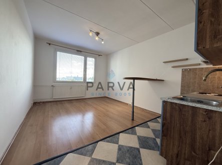 Pronájem bytu, 1+1, 47 m²
