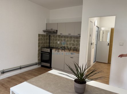 Pronájem bytu, 1+1, 39 m²