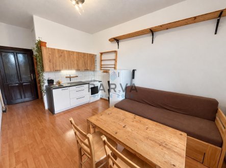 Pronájem bytu, 1+kk, 26 m²